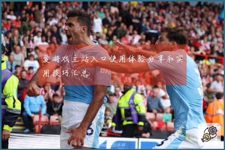 爱游戏主站入口使用体验分享和实用技巧汇总